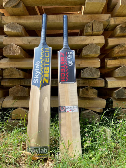 Reebok zigtech bat price hotsell